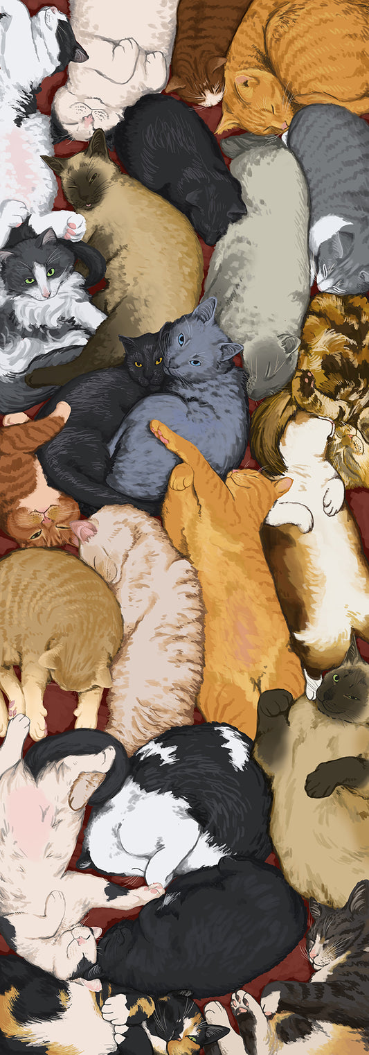 CUDDLY CATS
