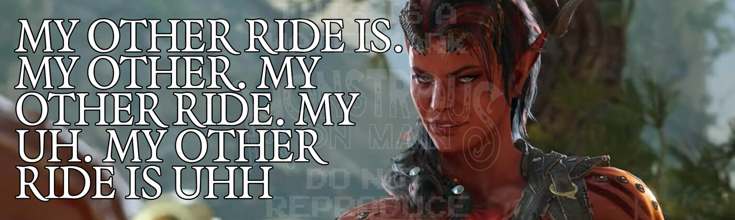 KARLACH "MY OTHER RIDE" BUMPER STICKER